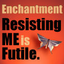 Enchantment by Guy Kawasaki