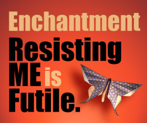 Enchantment by Guy Kawasaki