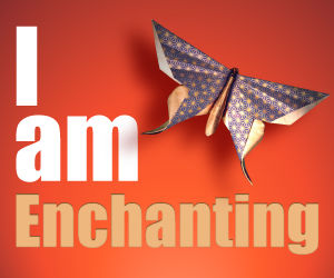 Enchantment by Guy Kawasaki