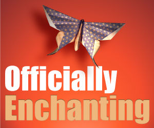 Enchantment by Guy Kawasaki