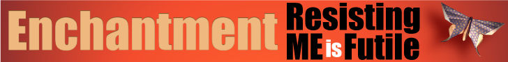 Enchantment by Guy Kawasaki