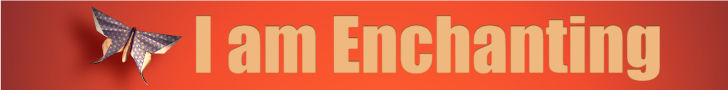 Enchantment by Guy Kawasaki