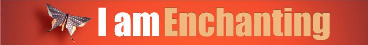 Enchantment by Guy Kawasaki