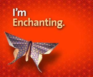 Enchantment by Guy Kawasaki