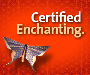 Enchantment by Guy Kawasaki