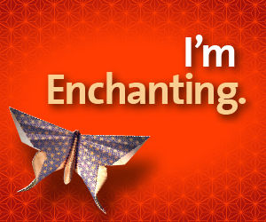Enchantment by Guy Kawasaki