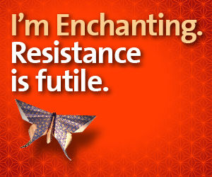 Enchantment by Guy Kawasaki
