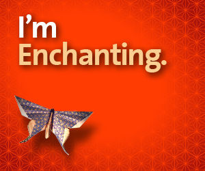 Enchantment by Guy Kawasaki