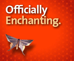 Enchantment by Guy Kawasaki